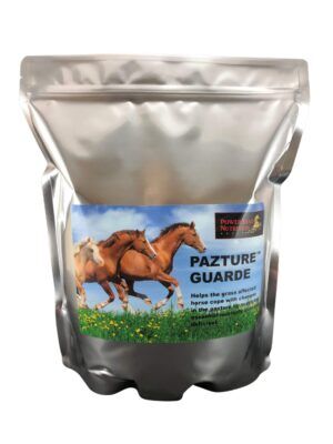 Pazture Guarde - Pasture and Muscle Support, Encouraging a Calm Focused Mind