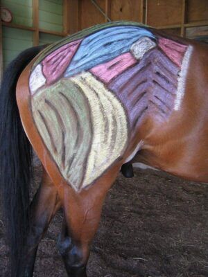 Equine Massage Course