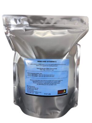 MSM for Horses: Supporting Healthy Joints and Muscles - Image 2