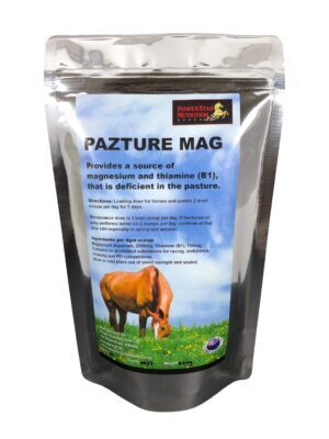 Pazture Mag - Magnesium and  B1 - Image 2