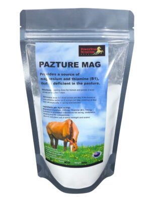 Pazture Mag - Magnesium and  B1
