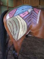 Equine Massage Course