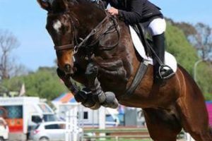 Han Bognuda jumping Dee