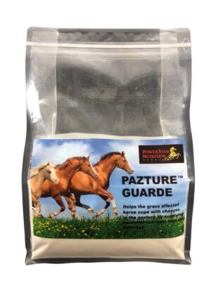 Pazture Guarde - Pasture and Muscle Support, Encouraging a Calm Focused Mind - Image 2