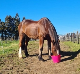 Sara Landon - June 2024