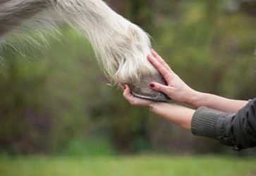 Anna McKee - April 2022