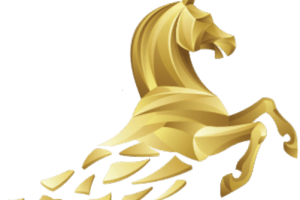 Power Star Nutrition golden logo